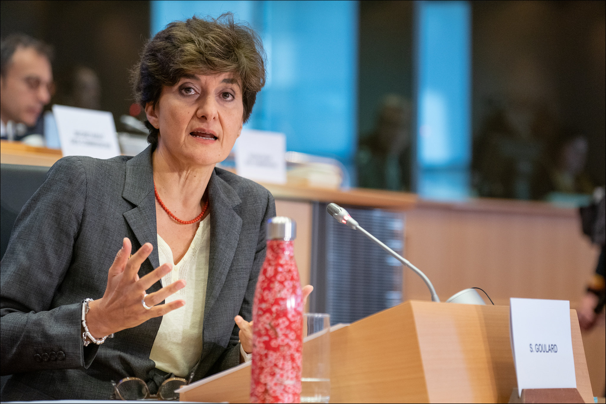 sylvie goulard EP