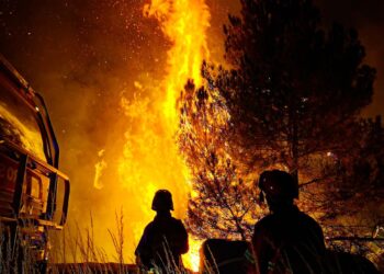 Des Pompiers Luttant Contre Un Feu De Forêt La Nuit