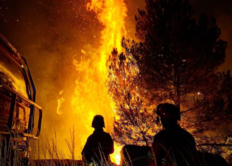 Des Pompiers Luttant Contre Un Feu De Forêt La Nuit