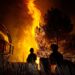 Des Pompiers Luttant Contre Un Feu De Forêt La Nuit