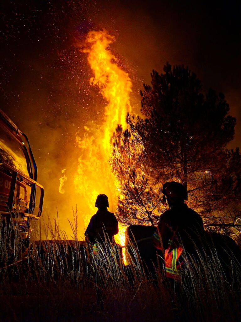 Des Pompiers Luttant Contre Un Feu De Forêt La Nuit